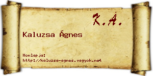 Kaluzsa Ágnes névjegykártya