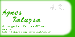 agnes kaluzsa business card